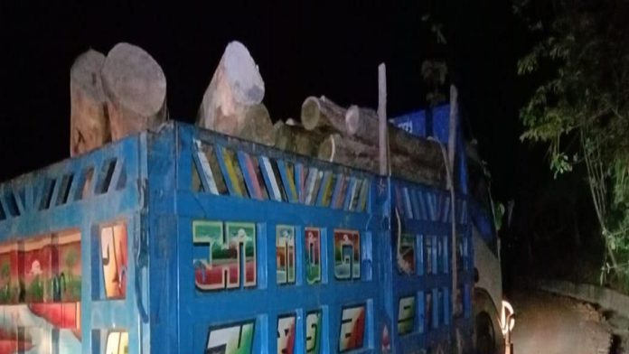রাজস্থলী