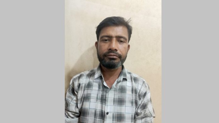 ধর্ষণ
