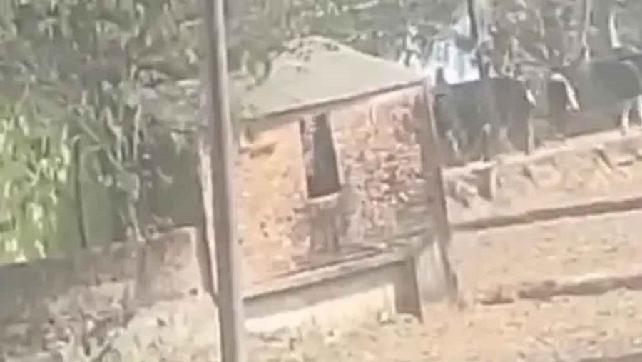 রাউজান