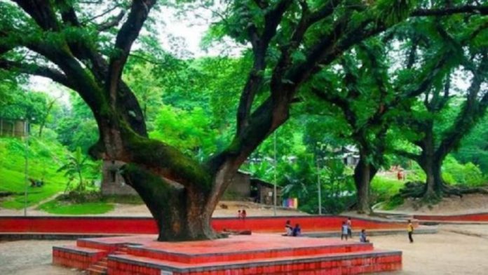 উন্নয়ন